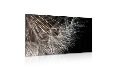 OBRAZ KRÁSA PAMPELIŠKY - OBRAZY KVĚTŮ - OBRAZY