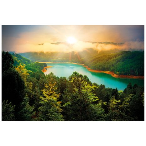 FOTOBEHANG RIVIER MIDDEN IN HET BOS - FOTOBEHANG - MEGA UITVERKOOP TOT 70% 🔥