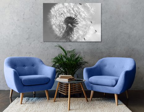 CANVAS PRINT DETAIL OF A DANDELION IN BLACK AND WHITE - BLACK AND WHITE PICTURES - PICTURES