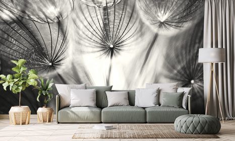 WALLPAPER UNUSUAL BLACK AND WHITE DANDELION - BLACK AND WHITE WALLPAPERS - WALLPAPERS