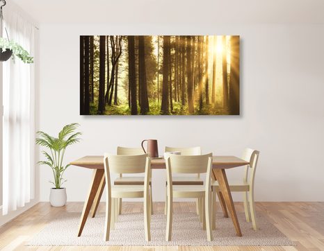 WANDBILD IN SONNENLICHT GETAUCHTER WALD - BILDER VON NATUR UND LANDSCHAFT - BILDER