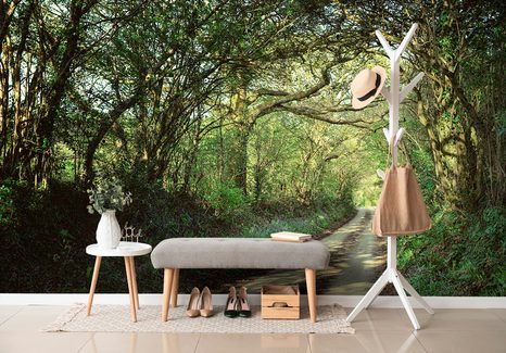 ΤΟΙΧΟΓΡΑΦΊΑ ΠΑΡΑΜΥΘΈΝΙΟ ΔΆΣΟΣ - ΤΑΠΕΤΣΑΡΊΑ ΦΎΣΗ - ΤΑΠΕΤΣΑΡΊΕΣ