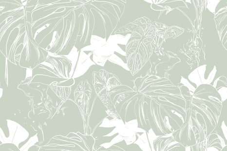 SAMOLEPIACA TAPETA NEVŠEDNÁ MONSTERA - SAMOLEPIACE TAPETY - TAPETY