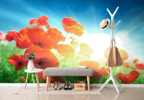 SAMOLEPÍCÍ TAPETA VLČÍ MÁK NA LOUCE - SAMOLEPÍCÍ TAPETY - TAPETY