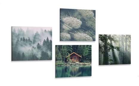 CANVAS PRINT SET WONDERS OF NATURE - SET OF PICTURES - PICTURES