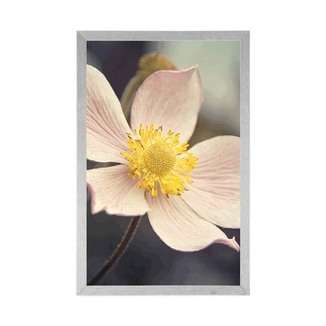 PLAKAT NJEŽNOST CVIJETA - CVIJEĆE - PLAKATI