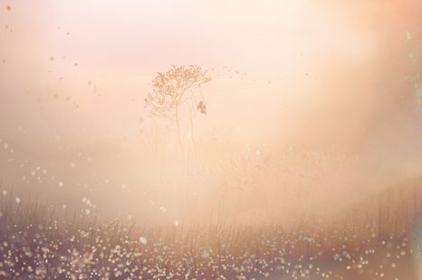 TAPETA ŽENA NA HOUPAČCE - TAPETY LIDÉ A CELEBRITY - TAPETY