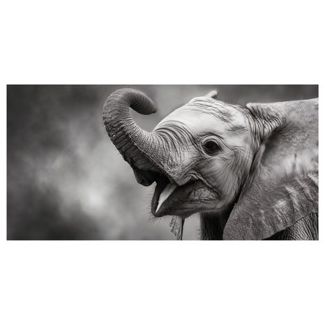 OBRAZ RADOSTNÝ SLONÍ OKAMŽIK - OBRAZY SLONI - OBRAZY