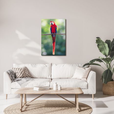 OBRAZ JASNĚ ČERVENÝ PAPOUŠEK NA VĚTVI - OBRAZY PTÁCI - OBRAZY