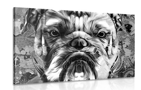 CANVAS PRINT BULLDOG IN BLACK AND WHITE - BLACK AND WHITE PICTURES - PICTURES