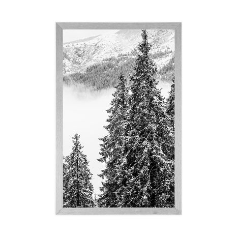 POSTER – ALBERI DI PINO INNEVATI IN BIANCO E NERO - NERO E BIANCO - POSTER
