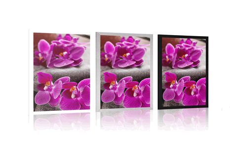 POSTER – ORCHIDEA MERAVIGLIOSA E PIETRE ZEN - FENG SHUI - POSTER