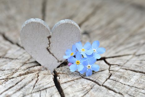 FOTOTAPETA SRDAŠCE NA STAROM DRVU - VINTAGE I RETRO TAPETE - TAPETE