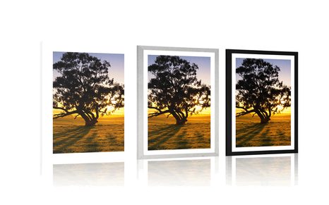 POSTER WITH MOUNT LONELY TREE AT SUNSET - NATURE - POSTERS