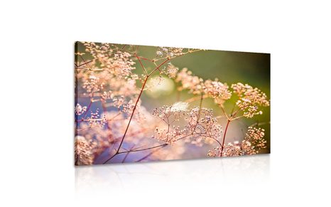WANDBILD STILLLEBEN MIT BLUMEN - BILDER VON NATUR UND LANDSCHAFT - BILDER