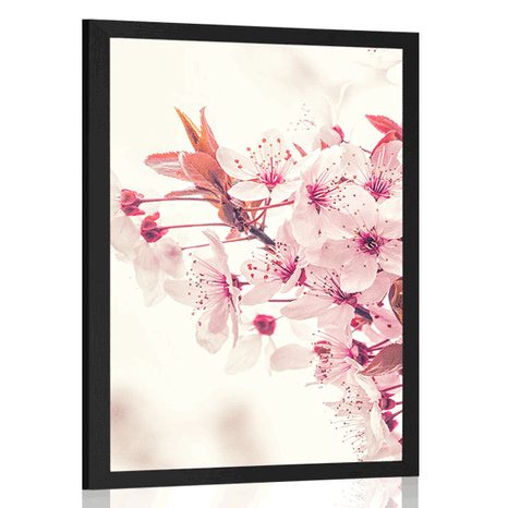 POSTER PINK CHERRY BLOSSOMS - FLOWERS - POSTERS