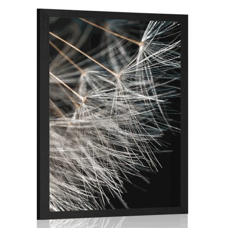 POSTER DANDELION BEAUTY - FLOWERS - POSTERS