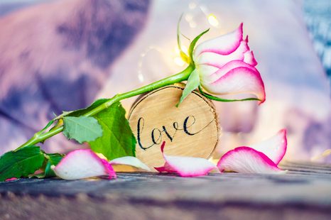 SAMOLEPÍCÍ FOTOTAPETA ROMANTICKÉ VYZNÁNÍ - SAMOLEPÍCÍ TAPETY - TAPETY