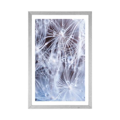 POSTER – MACRO DENTE DI LEONE - FIORI - POSTER