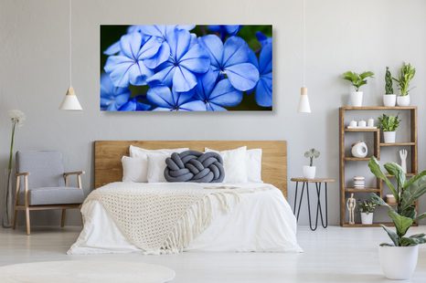 STAMPA SU TELA – FIORI BLU PITTORESCHI - QUADRI DI FIORI - STAMPE E QUADRI