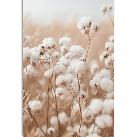 OBRAZ BAVLNÍK NA POLI - OBRAZY TRÁVY - OBRAZY