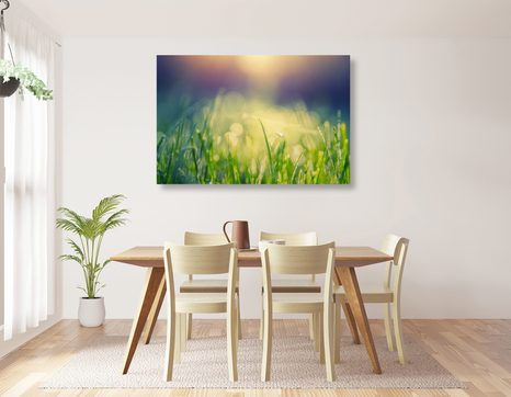 ΕΙΚΌΝΑ ΔΡΟΣΙΆ ΛΙΒΑΔΙΟΎ - ΠΊΝΑΚΕΣ ΦΎΣΗΣ ΚΑΙ ΤΟΠΊΟΥ - ΠΊΝΑΚΕΣ