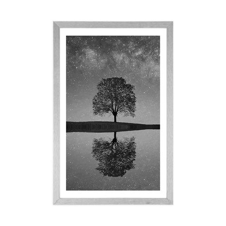 POSTER – CIELO STELLATO SOPRA UN ALBERO SOLITARIO IN BIANCO E NERO - NERO E BIANCO - POSTER
