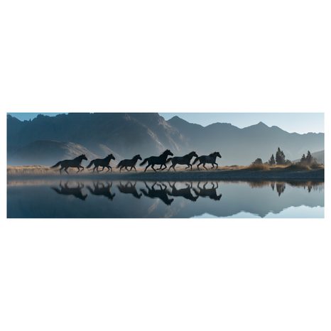 OBRAZ SVOBODA V HORÁCH - OBRAZY KONĚ - OBRAZY