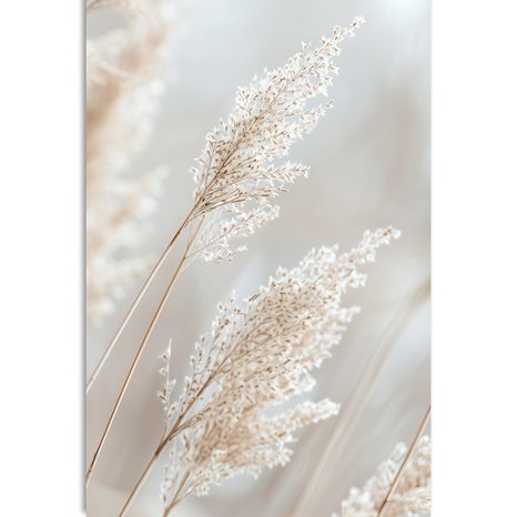 TABLOU TRESTIE BEJ - TABLOURI IERBURI - TABLOURI