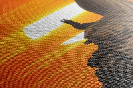 ΕΙΚΌΝΑ ΤΟΥ ΑΓΆΛΜΑΤΟΣ ΤΟΥ ΒΟΎΔΑ ΣΤΟ ΗΛΙΟΒΑΣΊΛΕΜΑ - ΠΊΝΑΚΕΣ ΦΕΝΓΚ ΣΟΎΙ - ΠΊΝΑΚΕΣ