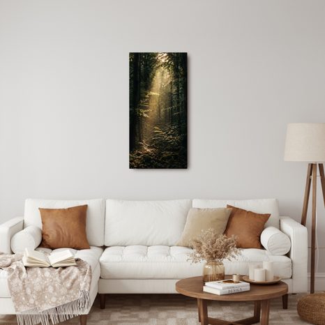 OBRAZ TICHÝ LES V RANNÍM SVITU - PICTURES FOREST - PICTURES