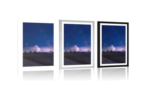 POSTER – TANTA PAGLIA AL CHIARO DI LUNA - NATURA - POSTER