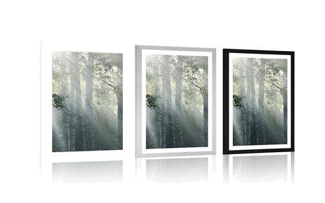 PLAKAT S PASPARTUOM SUNČEVE ZRAKE U MAGLOVITOJ ŠUMI - PRIRODA - PLAKATI