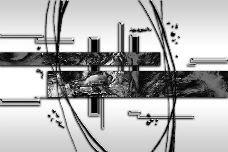 CARTA DA PARATI – ASTRATTO DI LUSSO IN BIANCO E NERO - CARTA DA PARATI BIANCO E NERO - CARTA DA PARATI