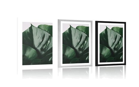 PLAGÁT S PASPARTOU LIST MONSTERY - KVETY - PLAGÁTY