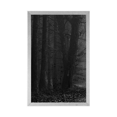 PLAKÁT TĚSTA V LESE V ČERNOBÍLÉM PROVEDENÍ - ČERNOBÍLÉ - PLAKÁTY