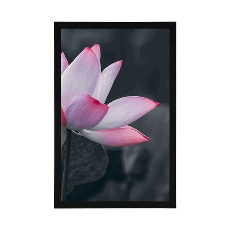 AFFICHE – FLEUR DE LOTUS DÉLICATE - FLEURS - AFFICHES