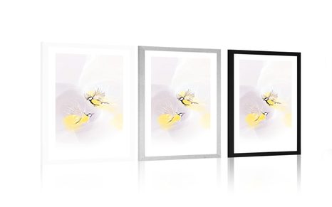 POSTER MIT PASSEPARTOUT MINIMALISTISCHE MEISEN - MOTIVE AUS UNSERER WERKSTATT - POSTER