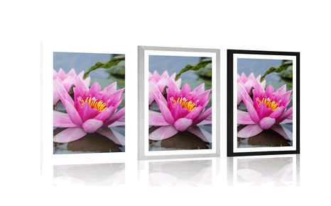 POSTER WITH MOUNT PINK LOTUS FLOWER - FLOWERS - POSTERS