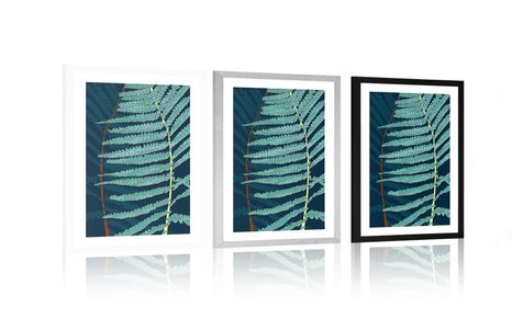 PLAGÁT S PASPARTOU NÁDHERNÁ PAPRAĎ - MOTÍVY Z NAŠEJ DIELNE - PLAGÁTY