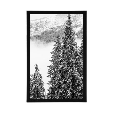 POSTER – ALBERI DI PINO INNEVATI IN BIANCO E NERO - NERO E BIANCO - POSTER