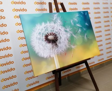 TABLOU PĂPĂDIE MAGICĂ - TABLOU FLORI - TABLOURI