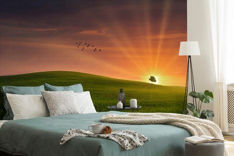 TAPETA STROM NA LÚKE - TAPETY PRÍRODA - TAPETY