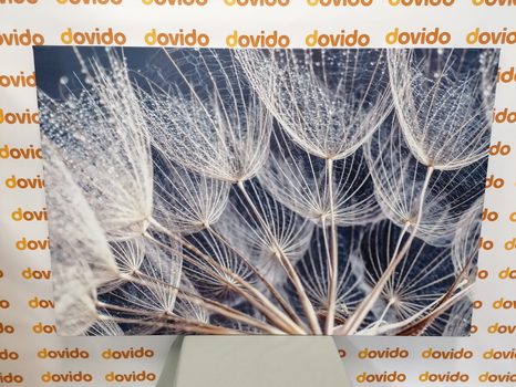 SLIKA JUTRANJA ROSA NA REGRATOVI LUČKI - SLIKE ROŽ - SLIKE