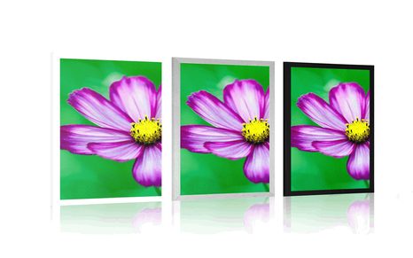 POSTER GARTENBLUME SCHMUCKKÖRBCHEN - BLUMEN - POSTER