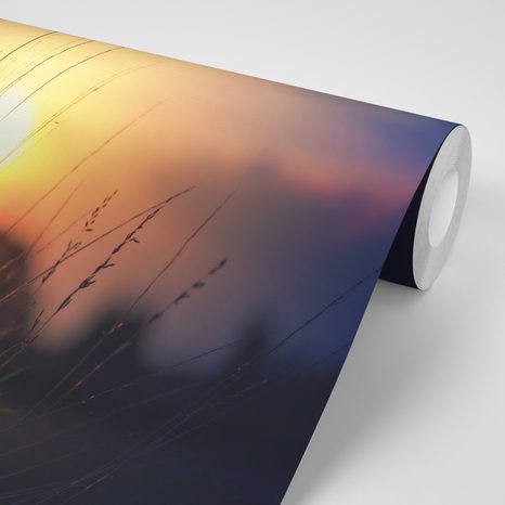 SAMOLEPÍCÍ FOTOTAPETA VÝCHOD SLUNCE NAD LOUKOU - SAMOLEPÍCÍ TAPETY - TAPETY