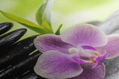 QUADRO SU TELA – COMPOSIZIONE ZEN TROPICALE - QUADRI FENG SHUI - STAMPE E QUADRI