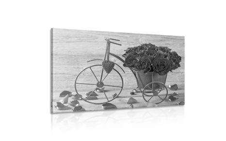 SLIKA KOLO POLNO VRTNIC V ČRNOBELI IZVEDBI - ČRNOBELE SLIKE - SLIKE