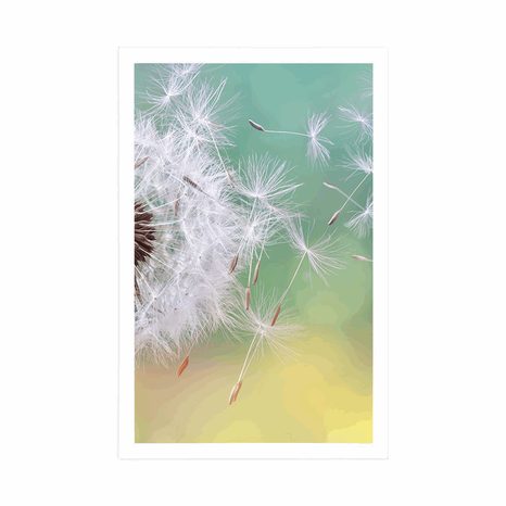 AFFICHE – PISSENLIT MAGIQUE - FLEURS - AFFICHES