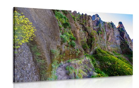 CANVAS PRINT NARROW TOURIST PATH - PICTURES OF NATURE AND LANDSCAPE - PICTURES